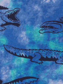 Пижама Carter’s модель 3M988410 Фото