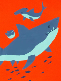 Пижама Carter’s модель 1N016110 Фото