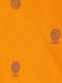 Комплект для младенцев Carter’s модель 1Q432110 Фото