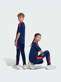 Штаны спортивные Adidas Tiro модель IT2025 Фото