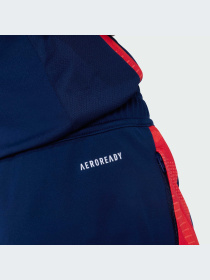 Штаны спортивные Adidas Tiro модель IT2025 Фото