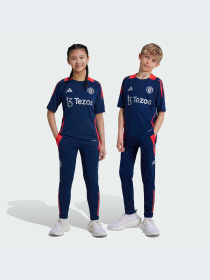 Штаны спортивные Adidas Tiro модель IT2025 Фото