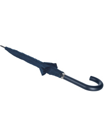 Парасолька-тростина Samsonite модель 97U01002 Фото