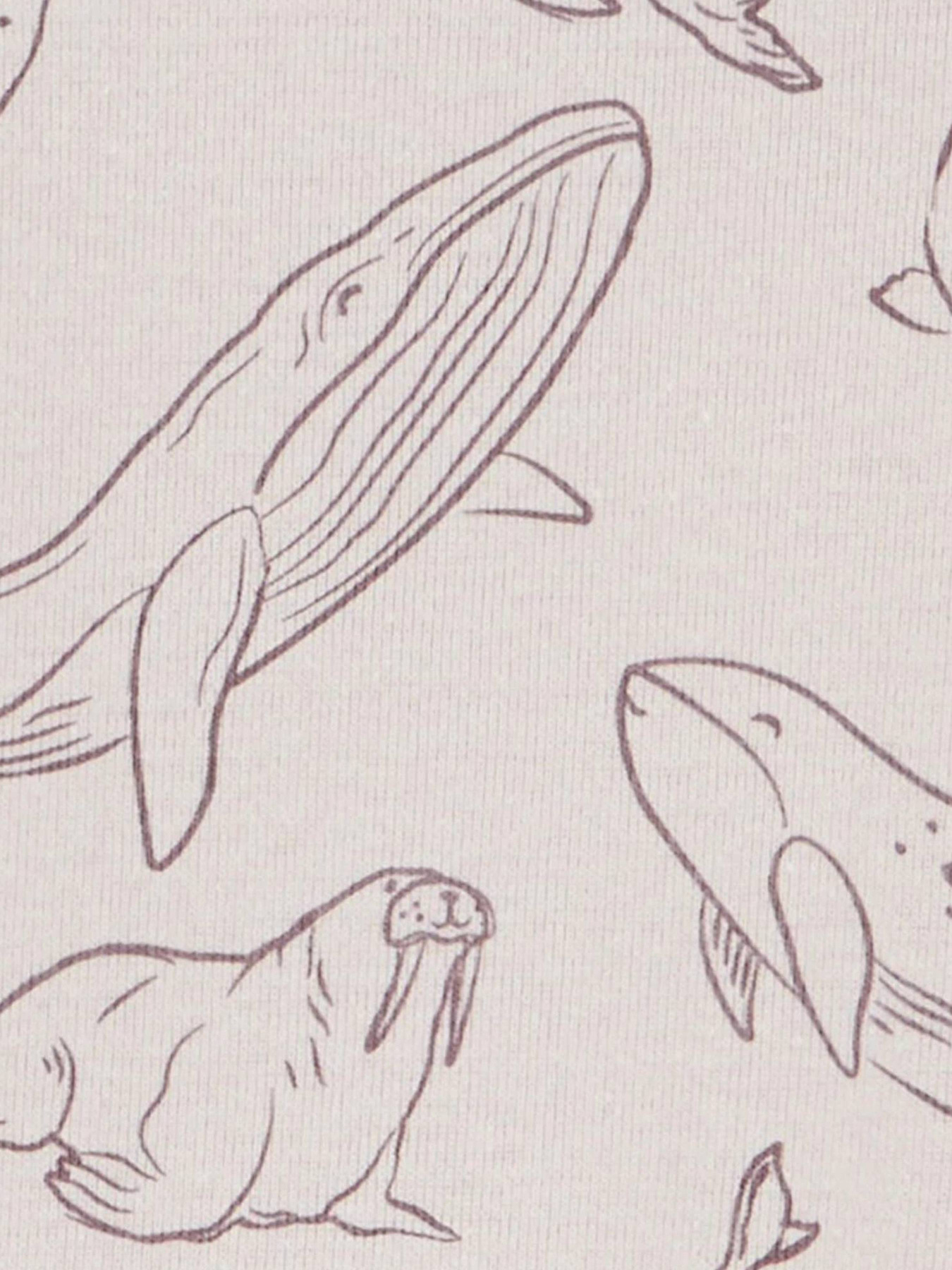 Боді для немовлят Carter’s модель 1Q219310 Фото