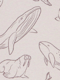 Боді для немовлят Carter’s модель 1Q219310 Фото