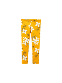 Легінси Carter’s модель 1M025412 Легінси Carter’s модель 1M025412 Фото