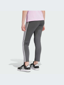 Леггинсы спортивные Adidas модель IR7517 Фото