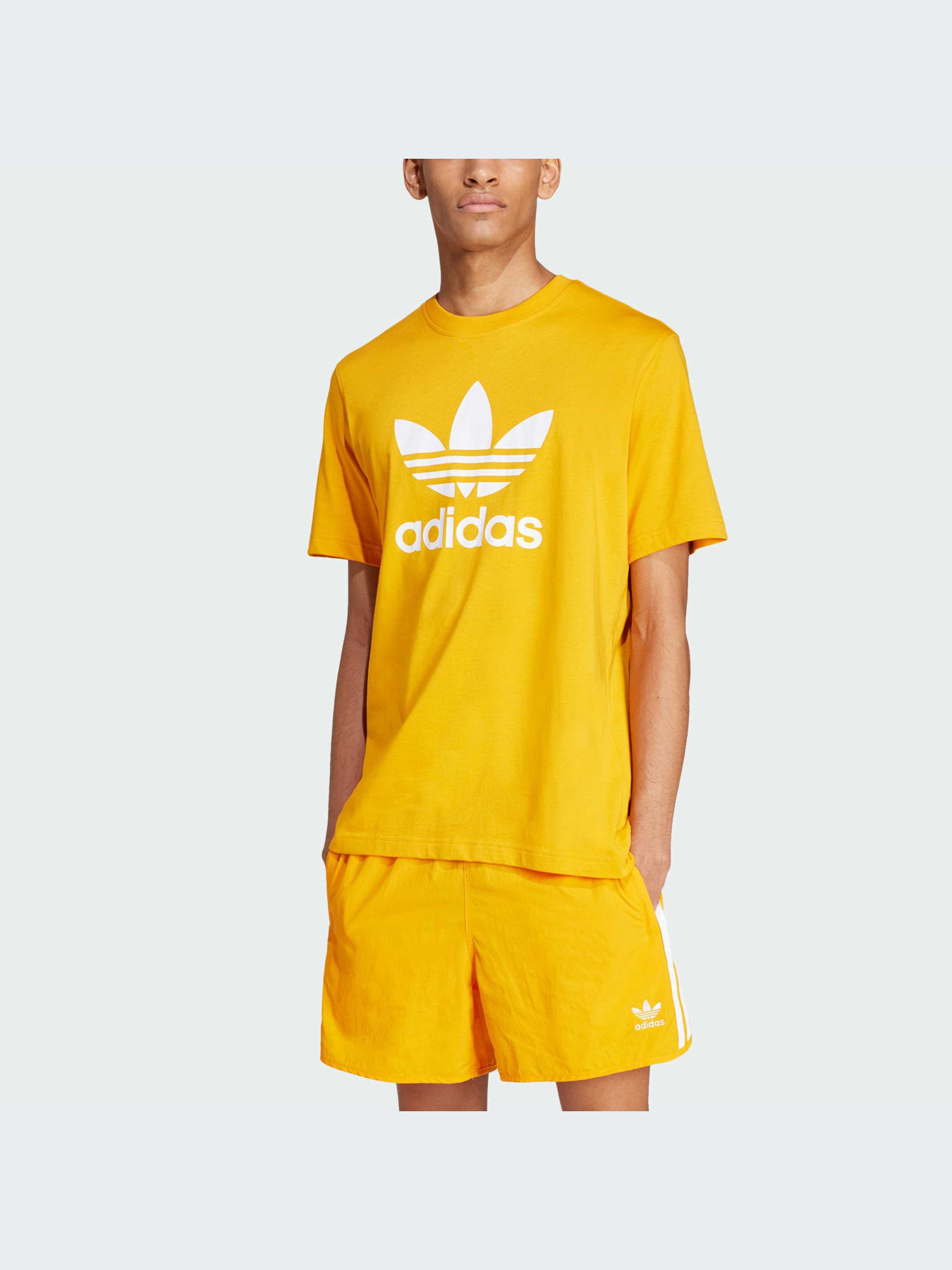 Футболка Adidas Adicolor модель IZ2352 Фото