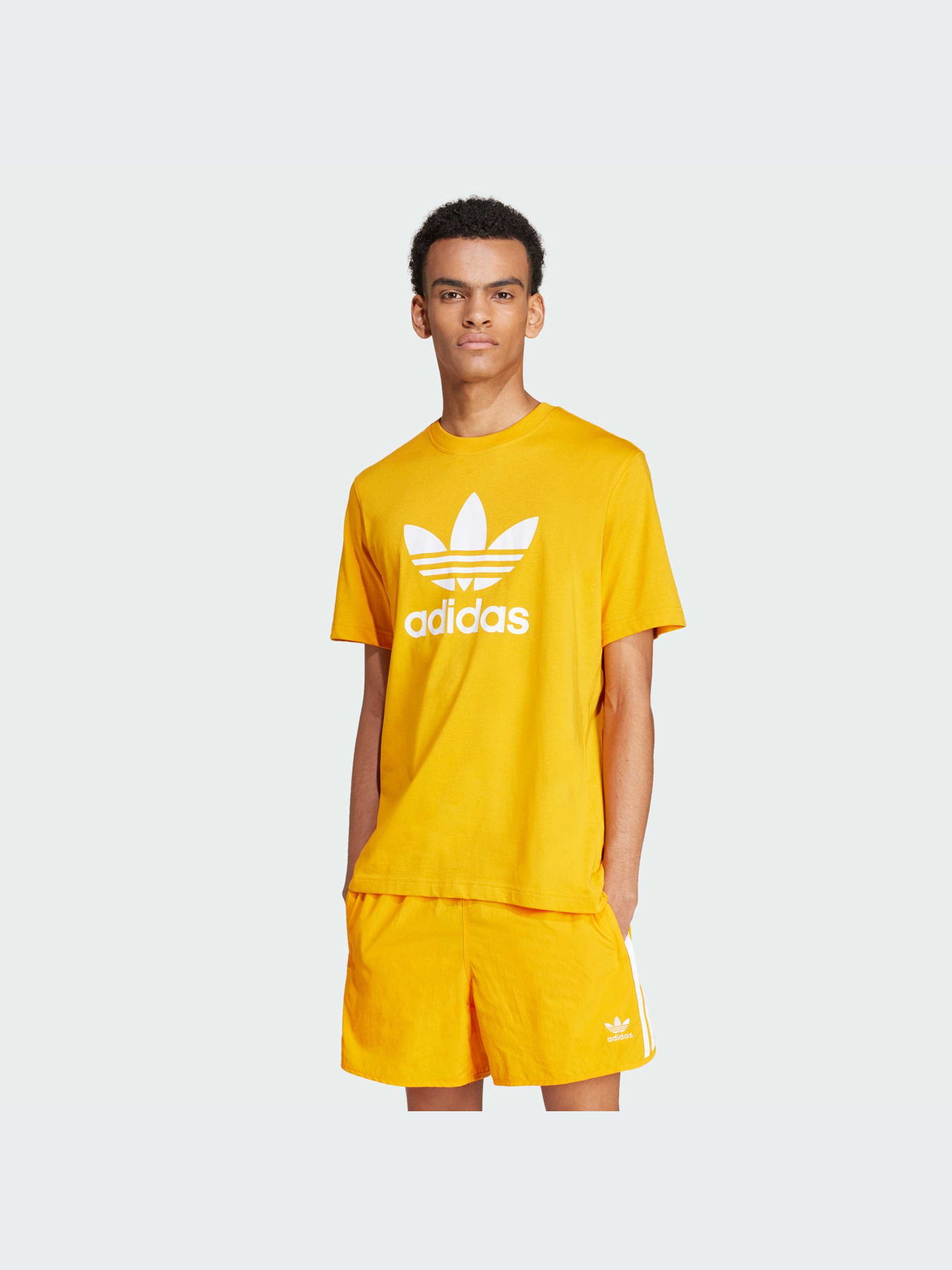 Футболка Adidas Adicolor модель IZ2352 Фото