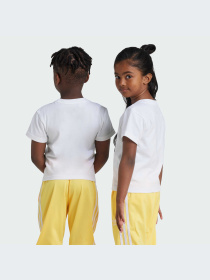 Футболка Adidas Adicolor модель JE0518 Фото