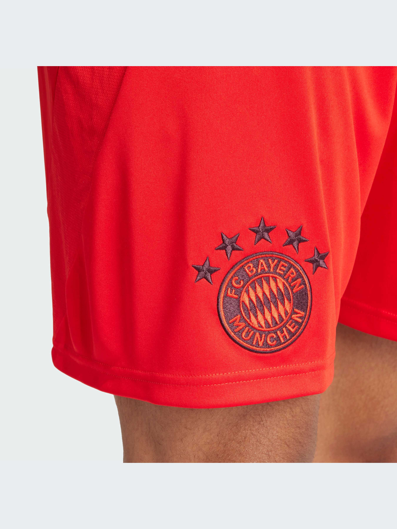 Шорты спортивные Adidas модель IT8513 Фото