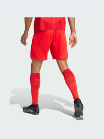 Шорты спортивные Adidas модель IT8513 Фото