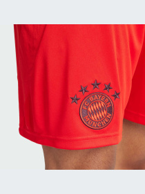 Шорты спортивные Adidas модель IT8513 Фото