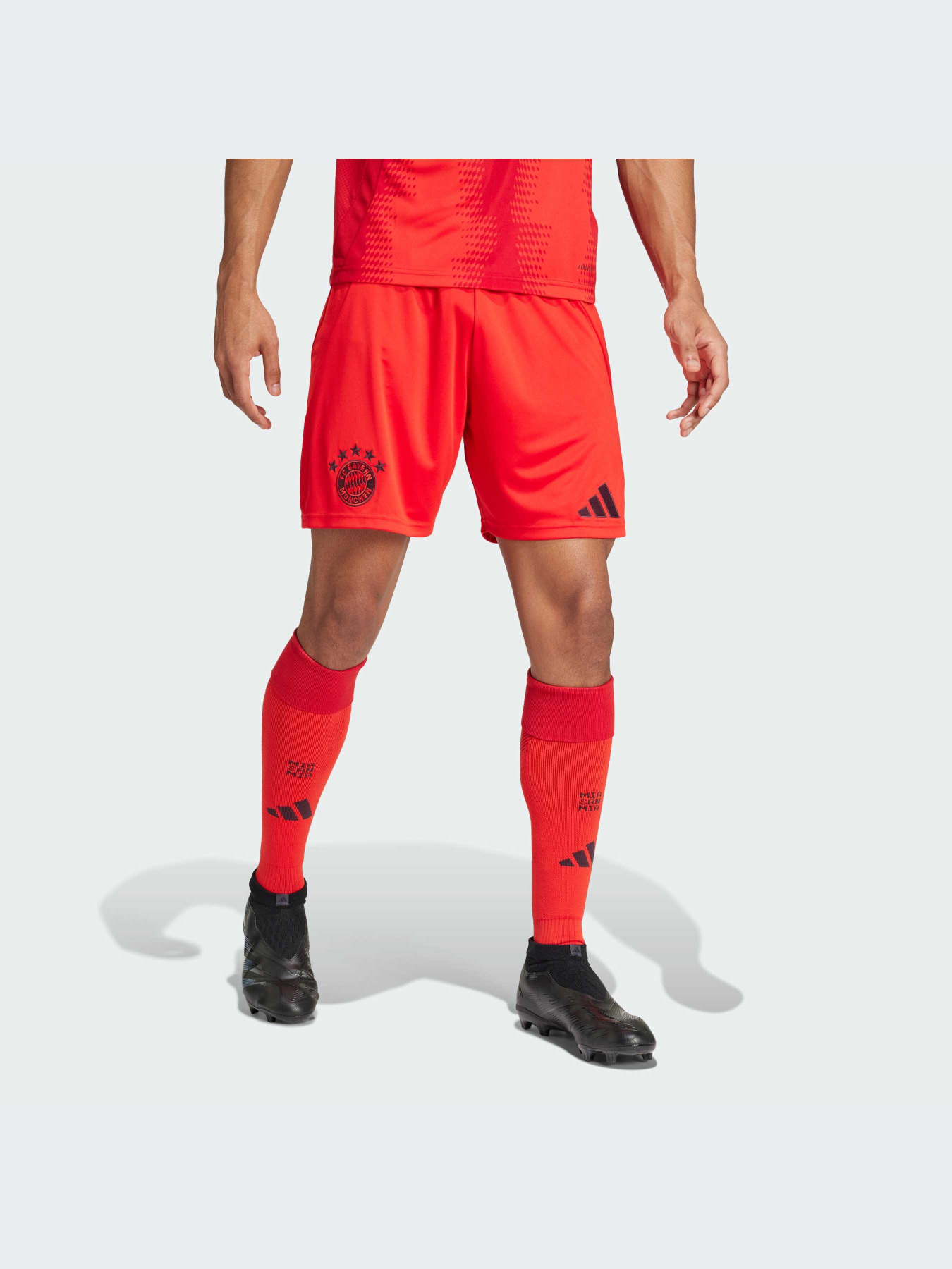 Шорты спортивные Adidas модель IT8513 Фото