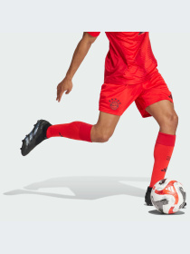 Шорты спортивные Adidas модель IT8513 Фото