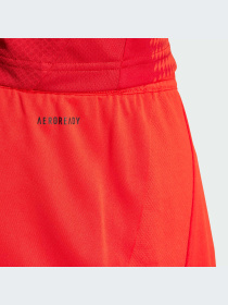 Шорты спортивные Adidas модель IT8513 Фото