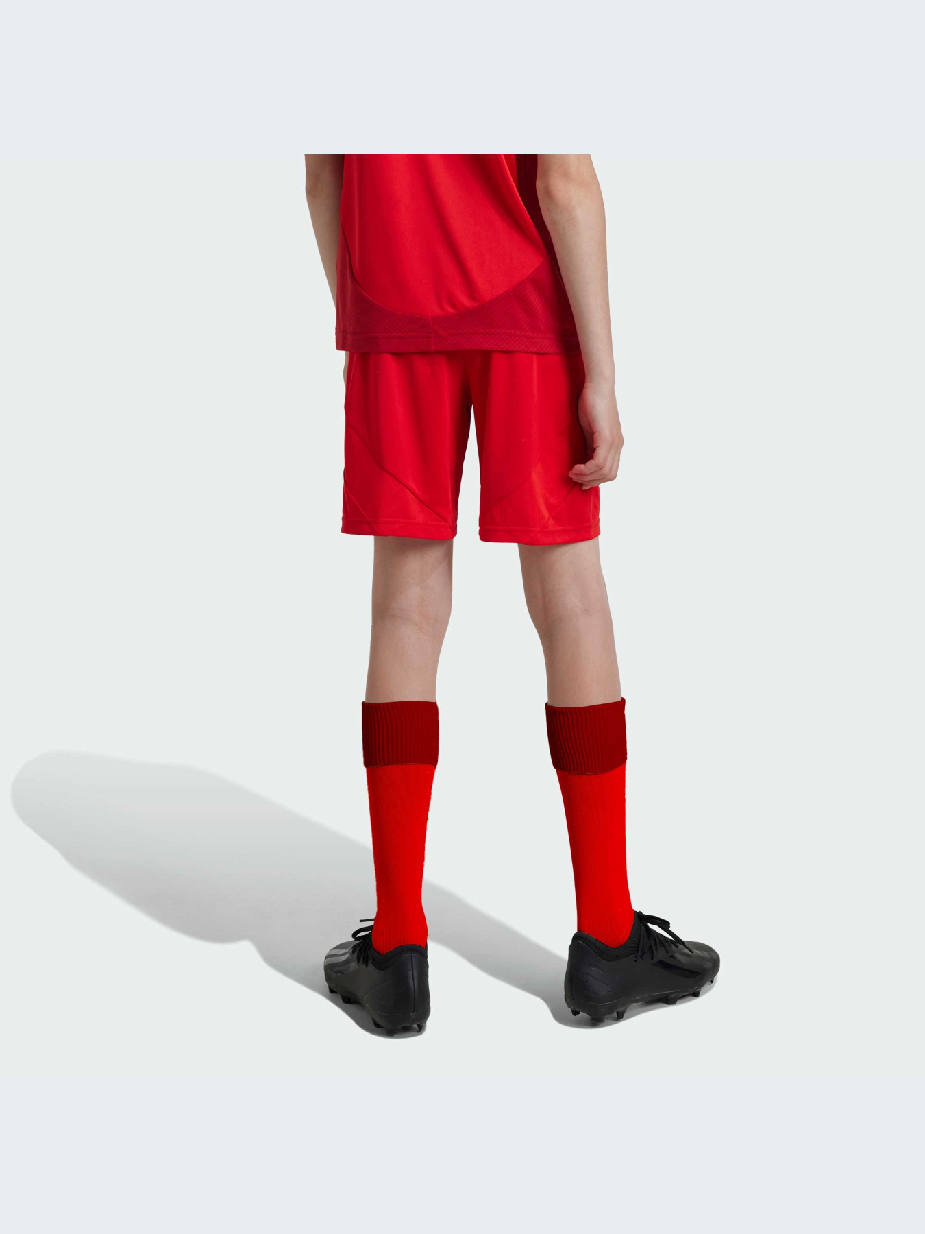 Спортивні шорти Adidas модель JD8336 Фото