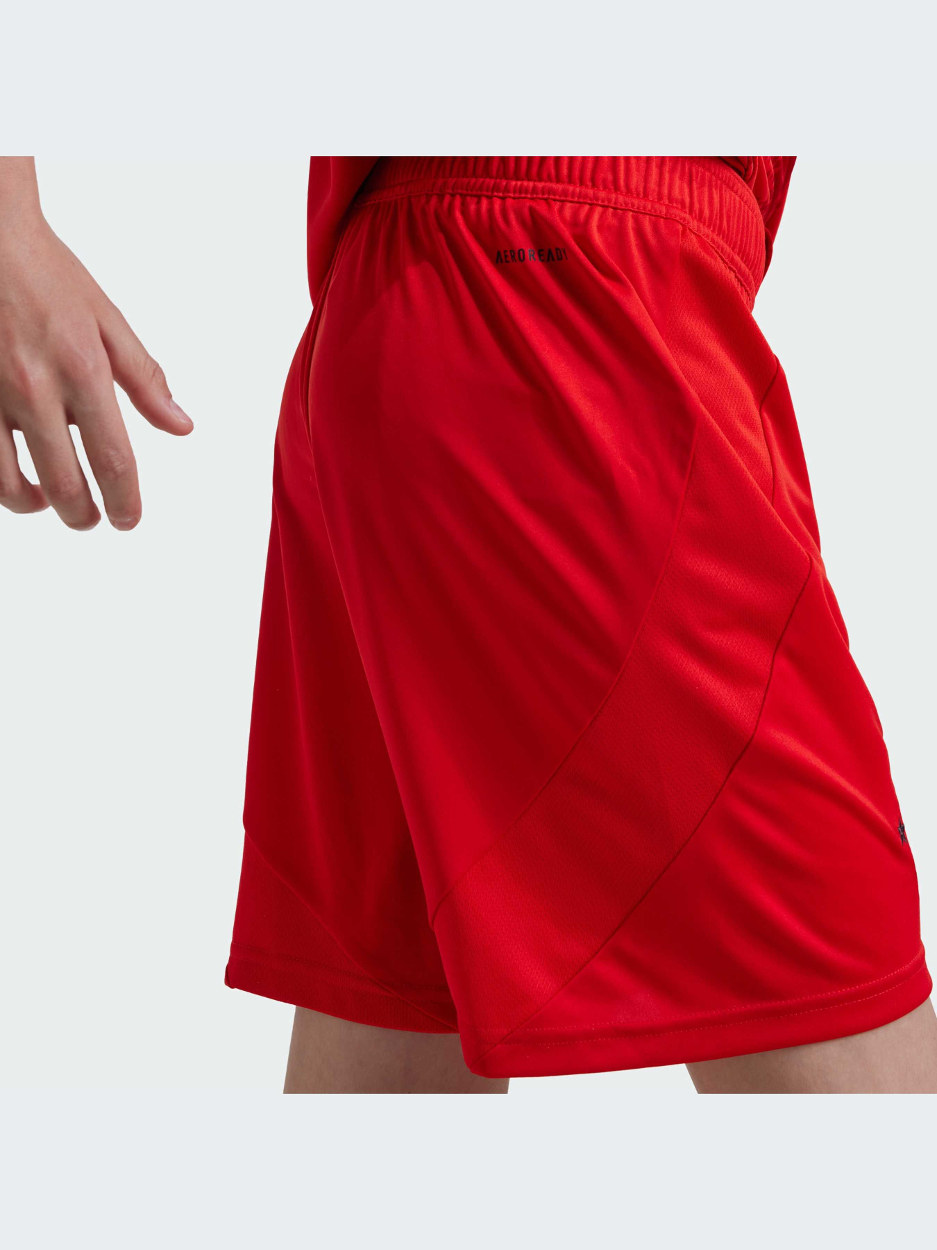 Спортивні шорти Adidas модель JD8336 Фото