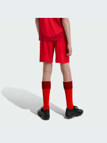 Спортивні шорти Adidas модель JD8336 Фото