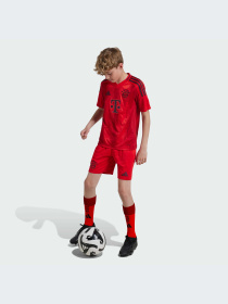 Спортивні шорти Adidas модель JD8336 Фото