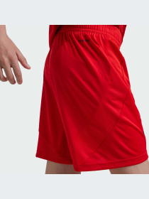 Спортивні шорти Adidas модель JD8336 Фото