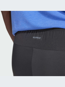 Штани спортивні Adidas Clima модель IY1123 Фото