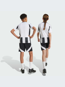 Шорти спортивні Adidas модель IT3553 Фото