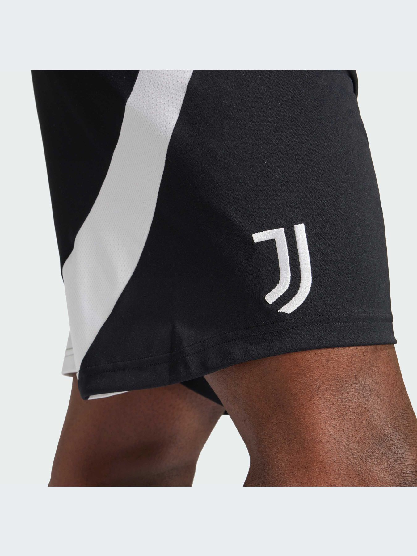 Шорти спортивні Adidas модель IS8003 Фото