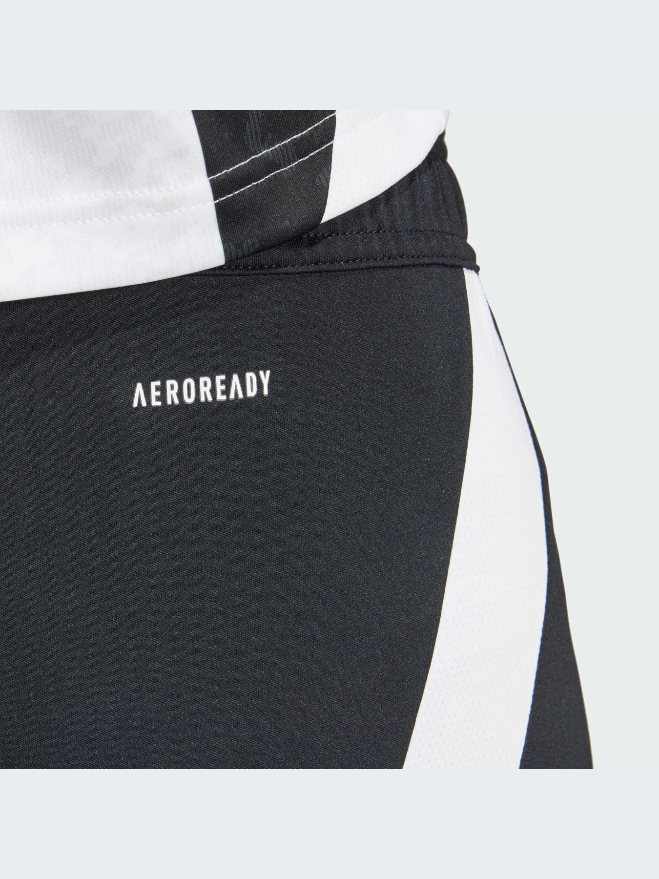 Шорти спортивні Adidas модель IS8003 Фото