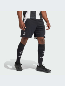 Шорты спортивные Adidas модель IS8003 Фото