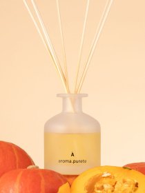 Аромадиффузор Pumpkin Wallnut Aroma Purete модель DIF0007 Фото