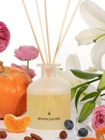 Аромадиффузор Pumpkin Wallnut Aroma Purete модель DIF0007 Фото