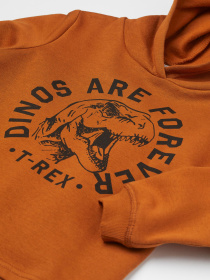 Худи H&M модель 73847 Фото