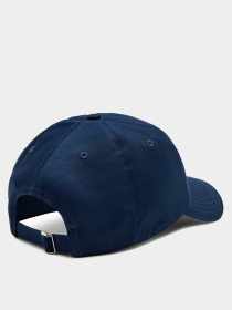 Шапки и кепки Tommy Hilfiger модель AW0AW15959-C1G Фото