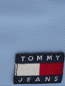 Сумки Tommy Hilfiger модель AW0AW15818-C3S Фото