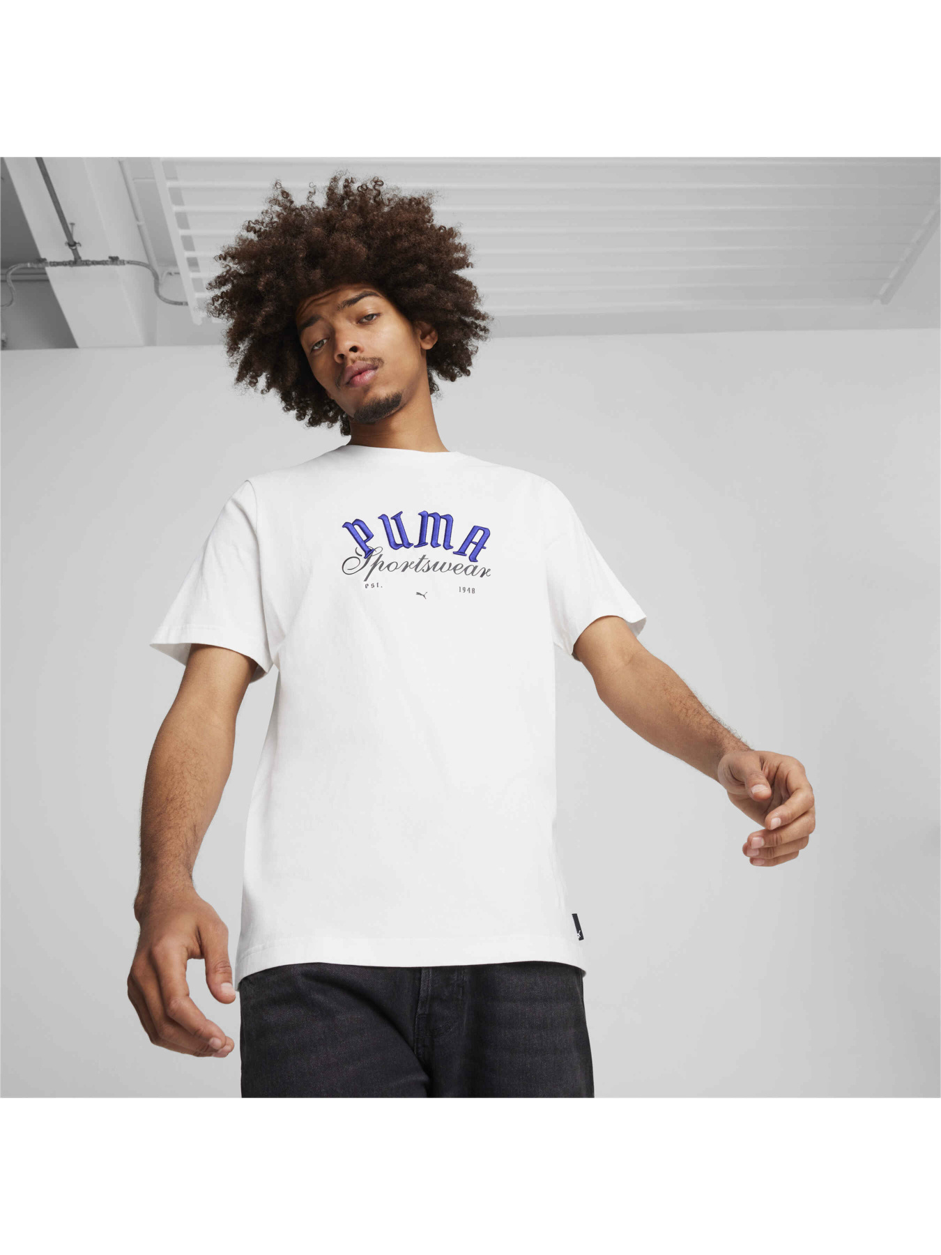 Футболка PUMA Graphics Sportswear Tee модель 628009 Фото