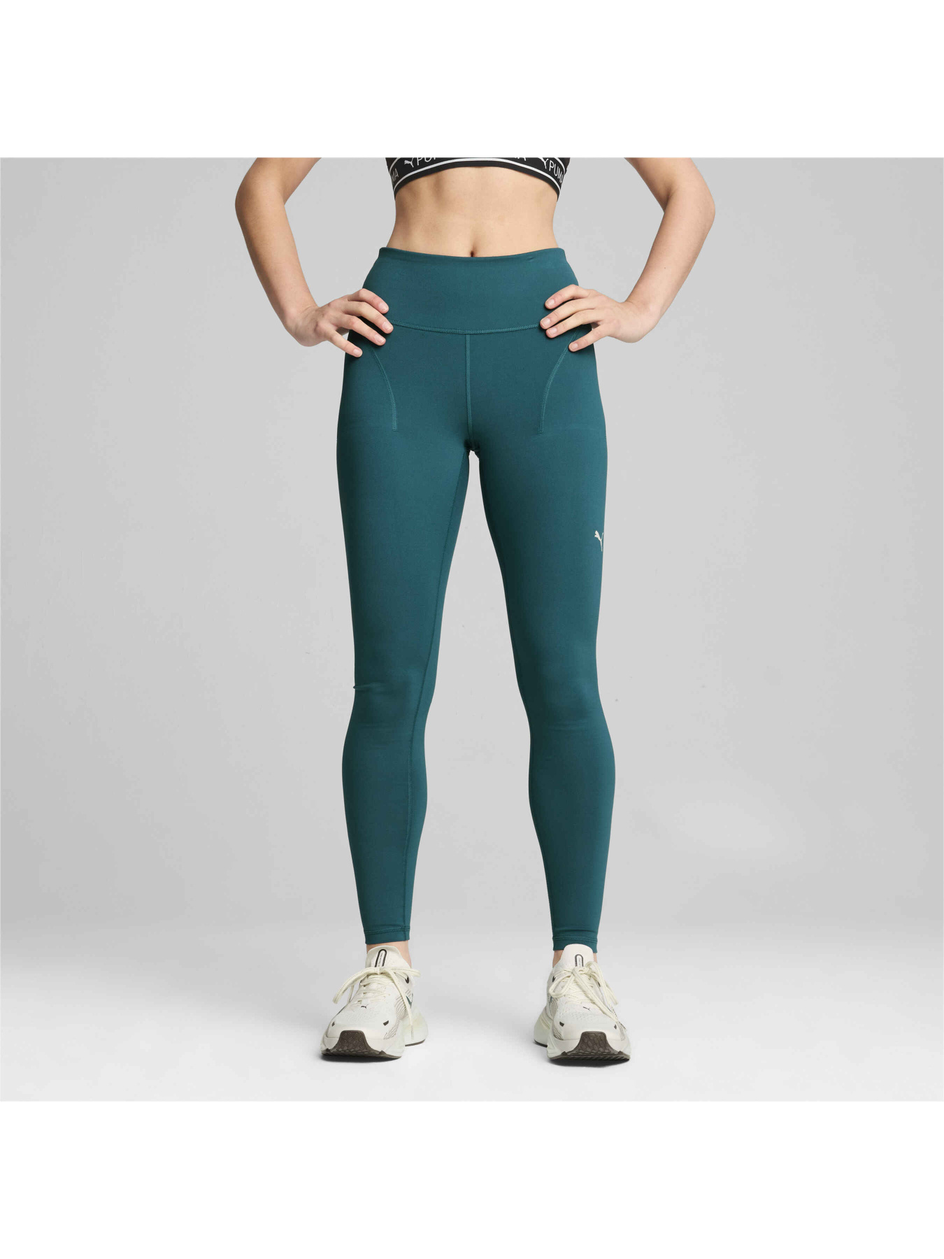 Спортивные леггинсы PUMA Cloudspun Soft Hw Fl Tight модель 525771 Фото