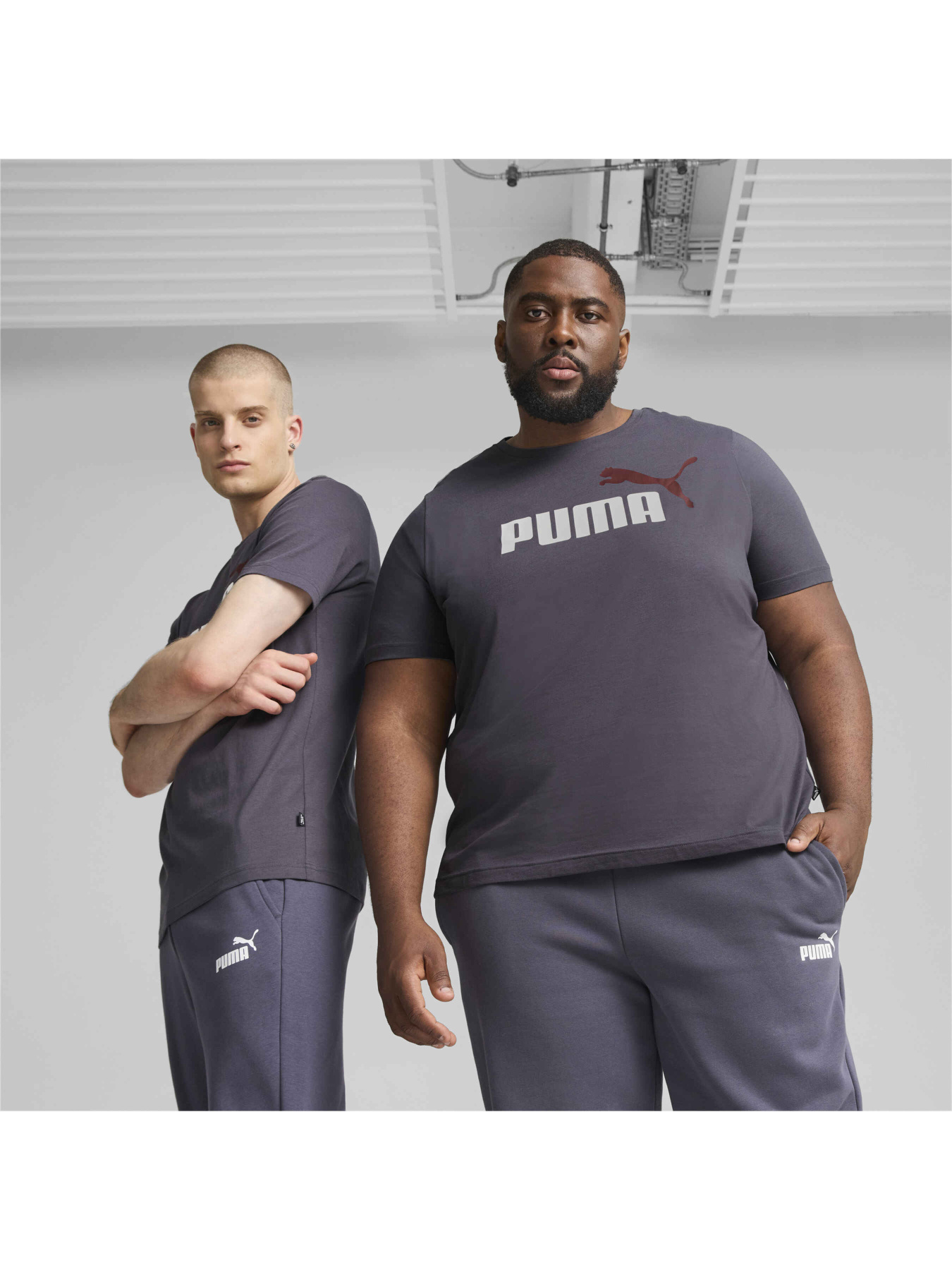 Футболка PUMA Ess+ 2 Col Logo Tee модель 586759 Футболка PUMA Ess+ 2 Col Logo Tee модель 586759 Фото