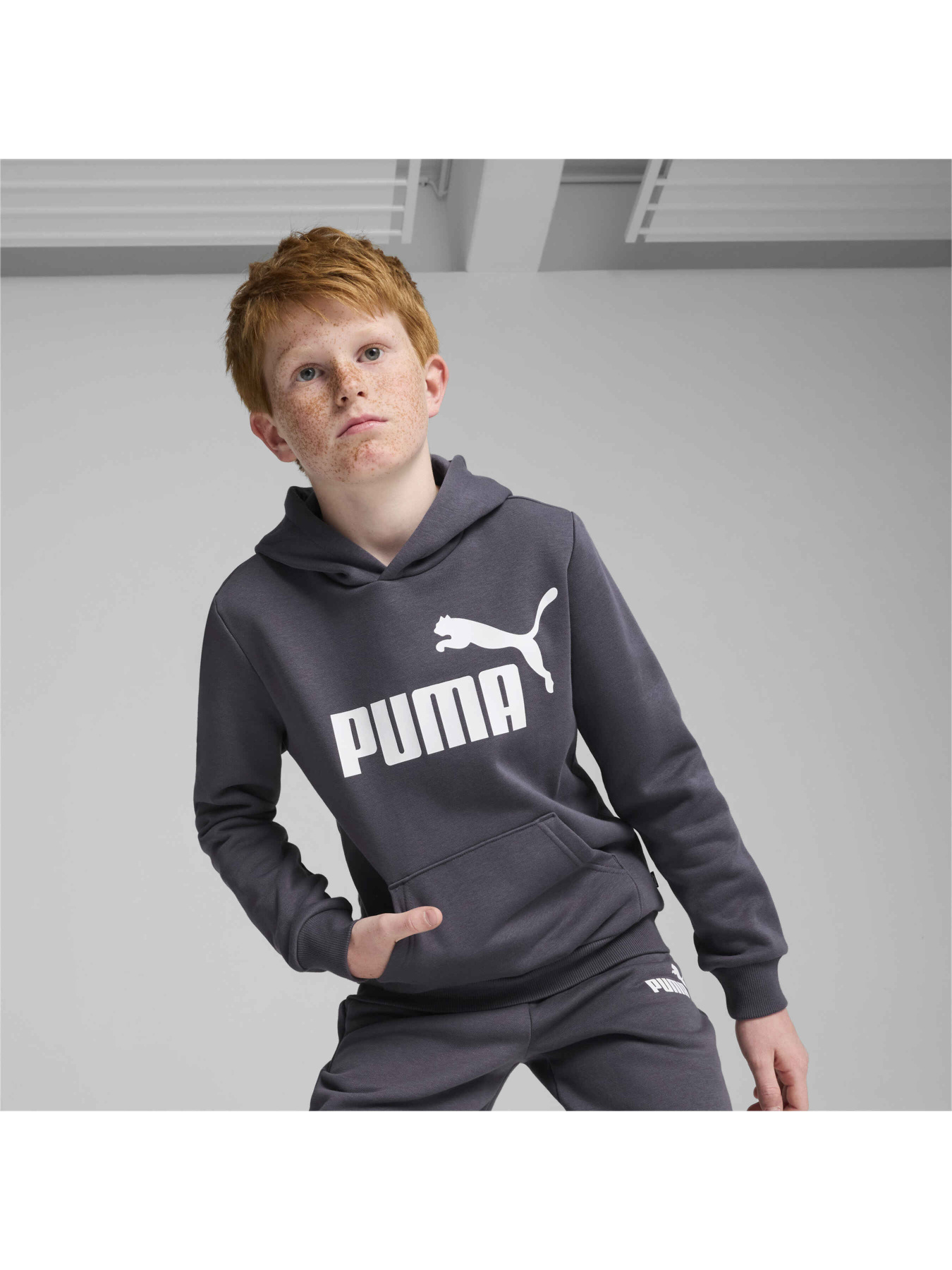 Худи PUMA Ess Big Logo Hoodie модель 586965 Фото