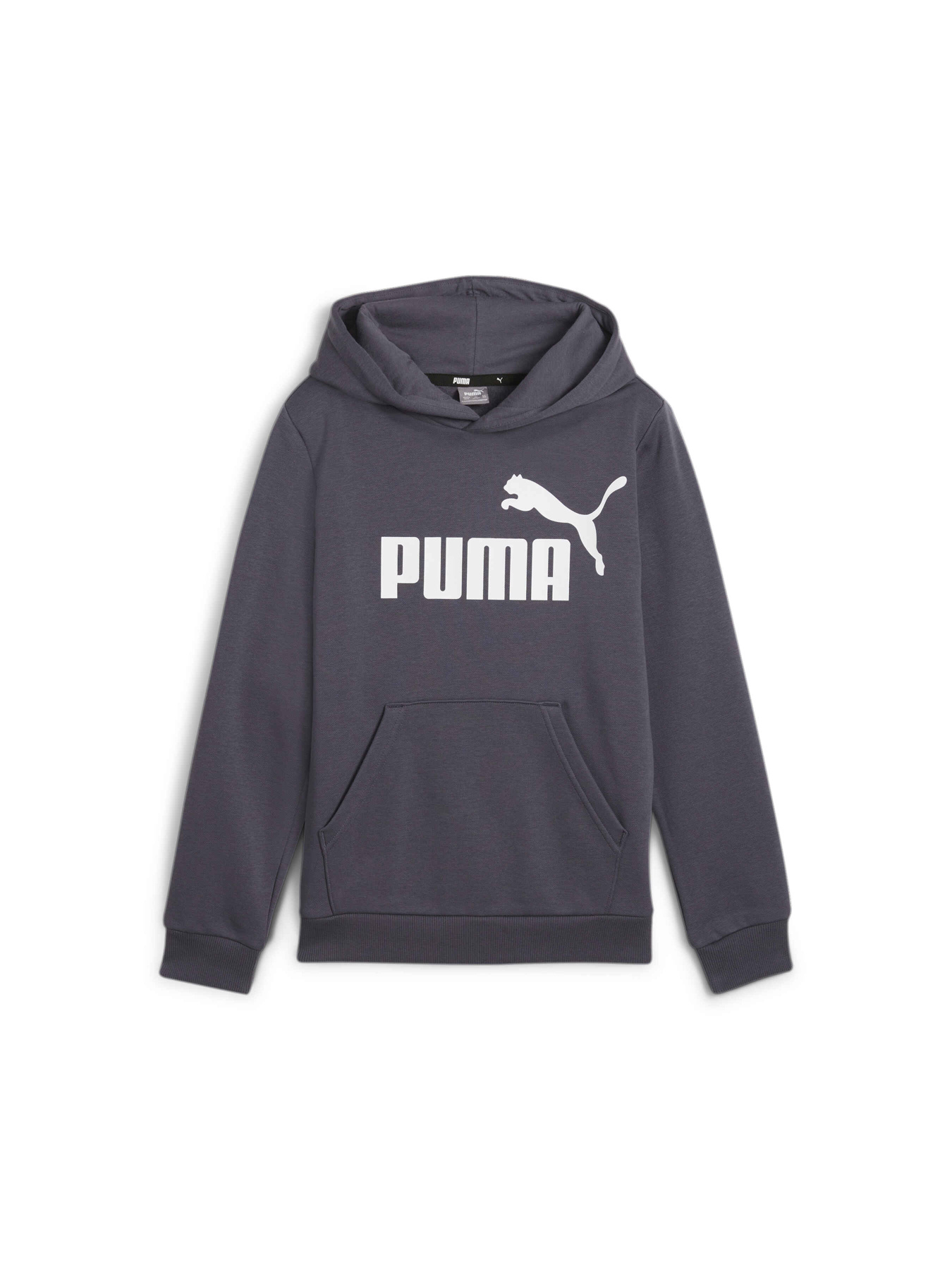 Худи PUMA Ess Big Logo Hoodie модель 586965 Фото