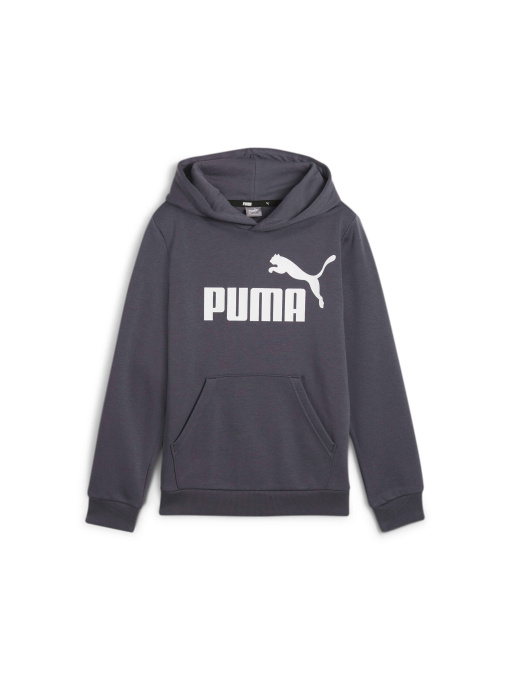 Худи PUMA Ess Big Logo Hoodie модель 586965 Фото