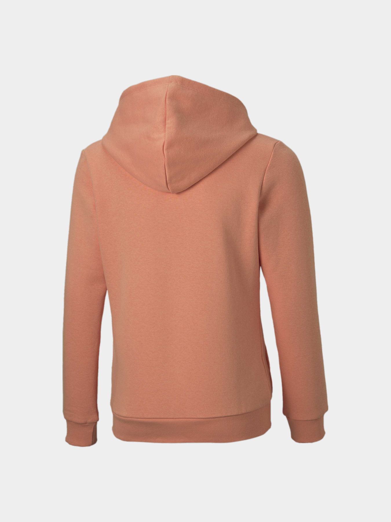 Худи PUMA Ess Logo Hoodie модель 587031 Фото