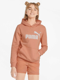 Худи PUMA Ess Logo Hoodie модель 587031 Фото