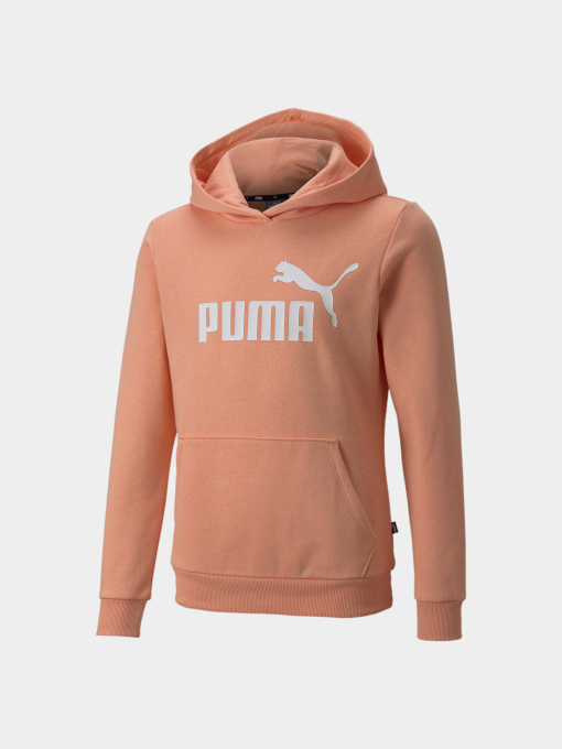 Худи PUMA Ess Logo Hoodie модель 587031 Фото