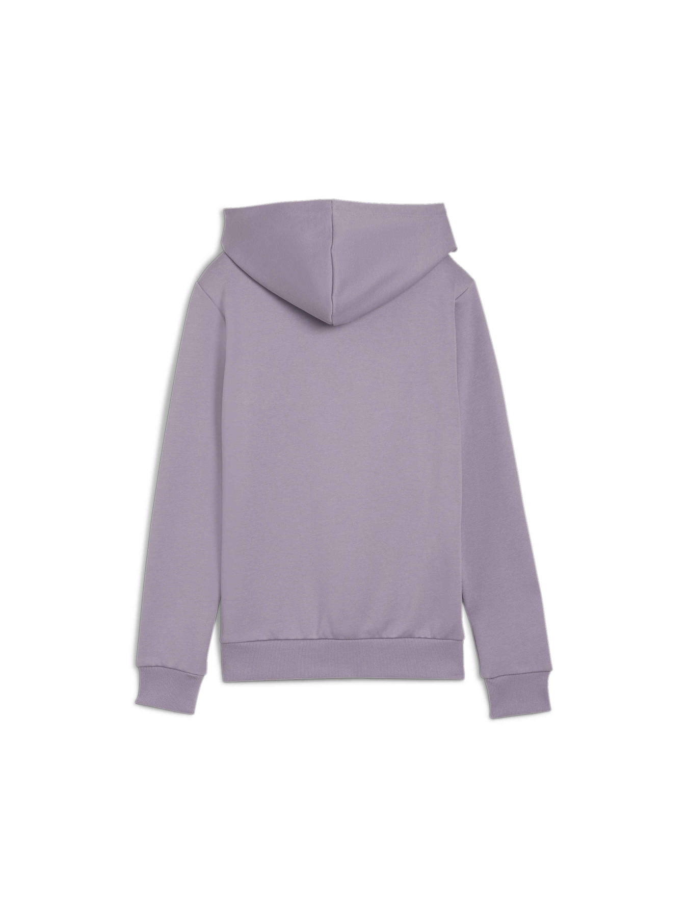 Худи PUMA Ess+ Embroidery Hoodie модель 670004 Фото