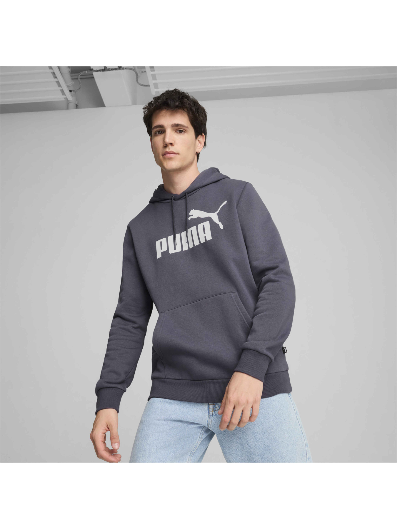 Худи и свитшоты PUMA Ess Big Logo Hoodie модель 586687 Худи и свитшоты PUMA Ess Big Logo Hoodie модель 586687 Фото