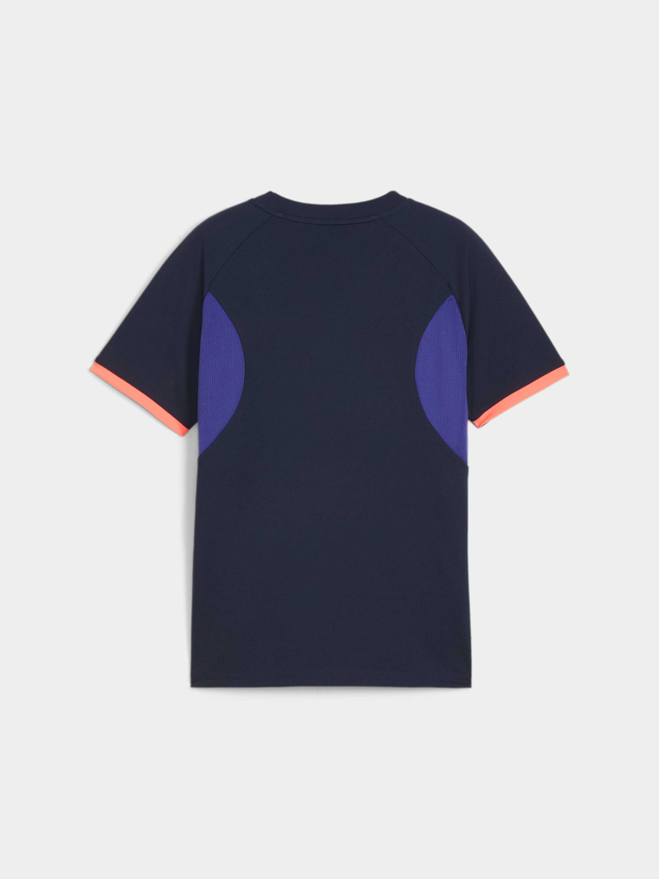 Футболка спортивная PUMA Indiliga Graphic Jersey Jr модель 659525 Фото