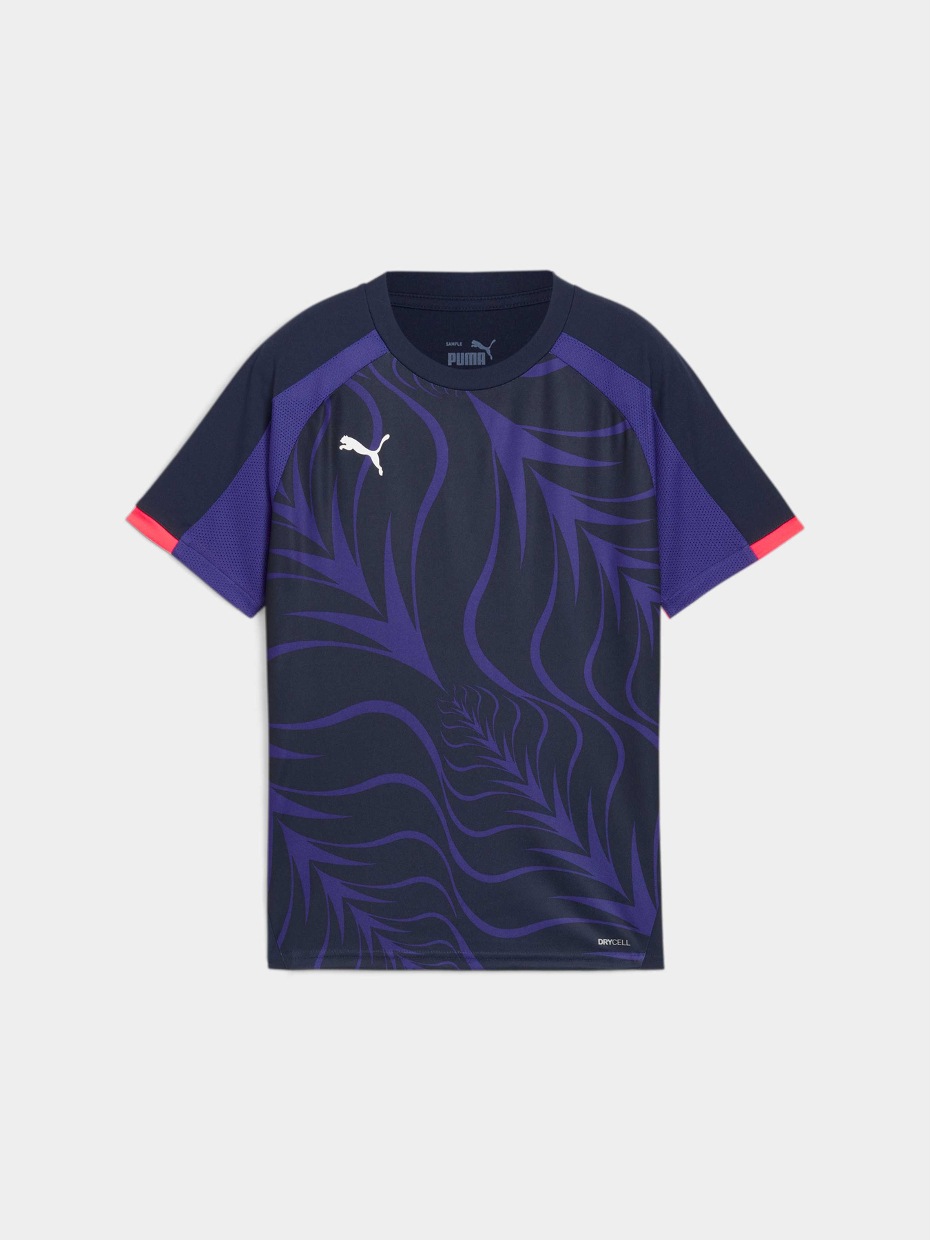 Футболка спортивная PUMA Indiliga Graphic Jersey Jr модель 659525 Фото