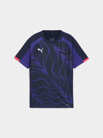 Спортивная футболка PUMA Indiliga Graphic Jersey Jr модель 659525 Фото
