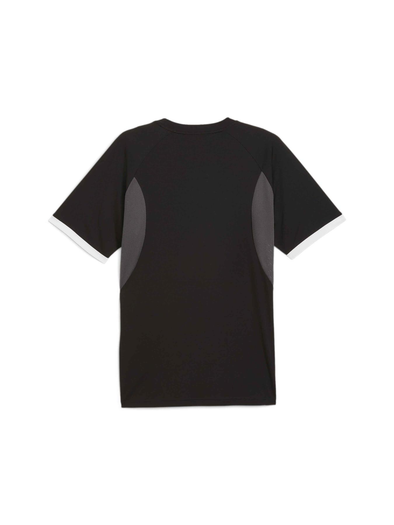 Спортивная футболка PUMA Individualliga Graphicjersey модель 659524 Спортивная футболка PUMA Individualliga Graphicjersey модель 659524 Фото